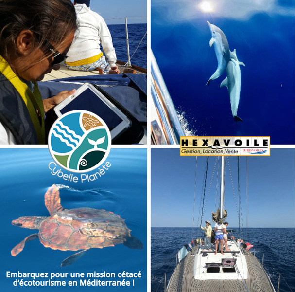 EURO VOILES x CYBELLE PLANETE
