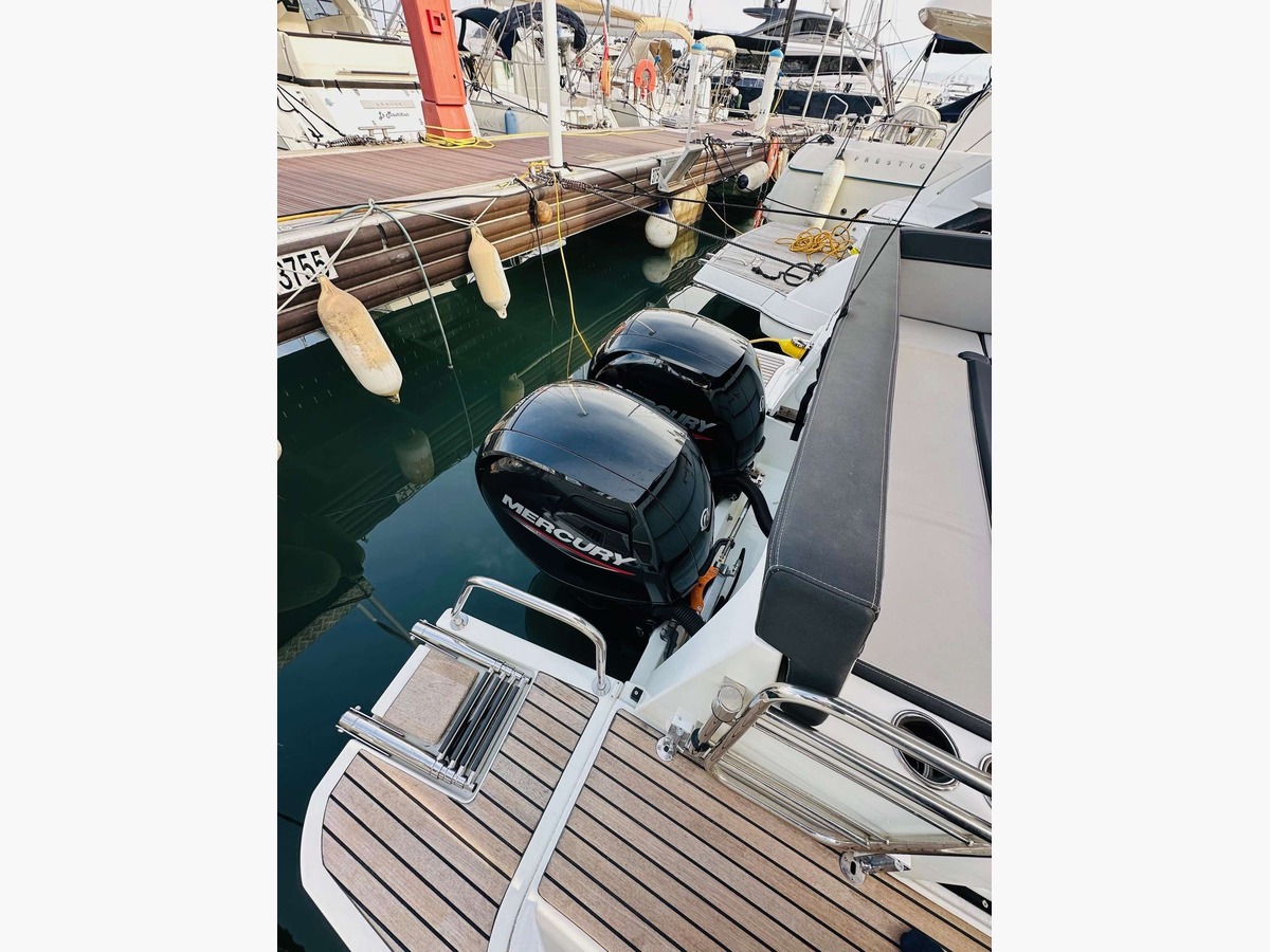 MERRY FISHER 895
